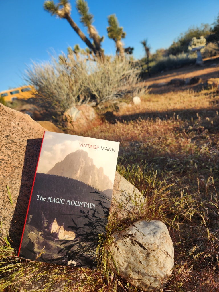 The Magic Mountain by Thomas Mann book cover on a desert background